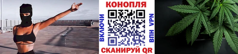 магазин продажи наркотиков  Зеленоградск  Шишки марихуана конопля 